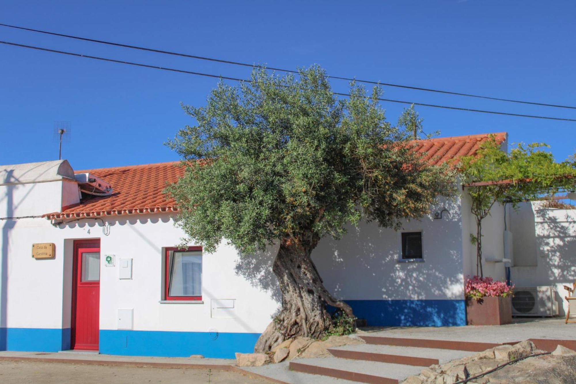 Willa Sao Bras Do Regedouro - Turismo Na Aldeia Évora Zewnętrze zdjęcie